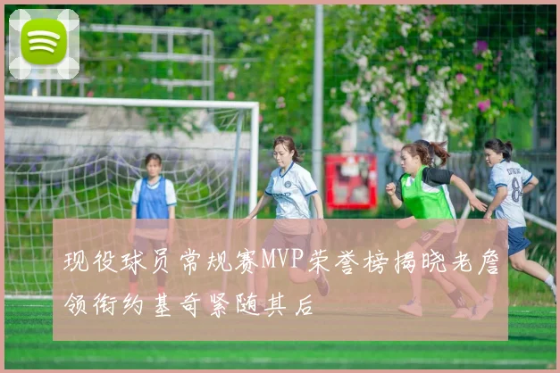 现役球员常规赛MVP荣誉榜揭晓老詹领衔约基奇紧随其后